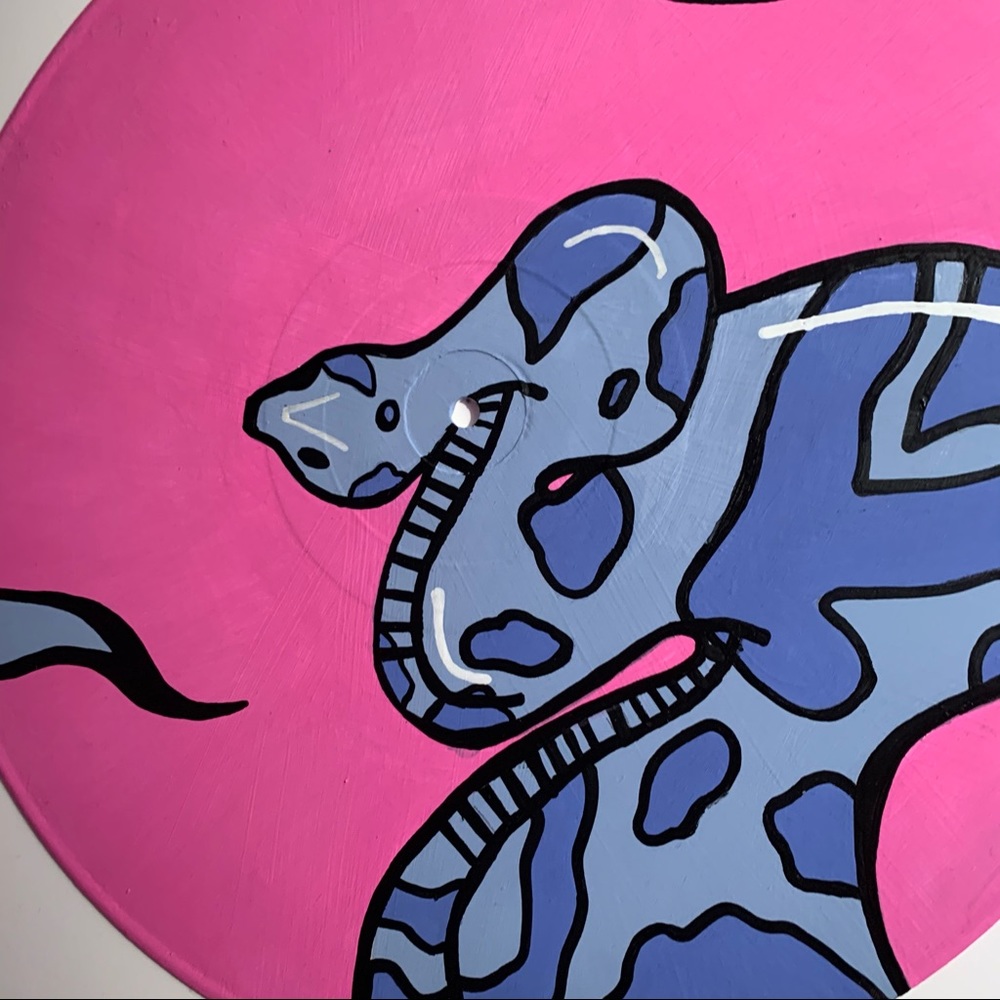 snake painted record - Picture 2 of 4